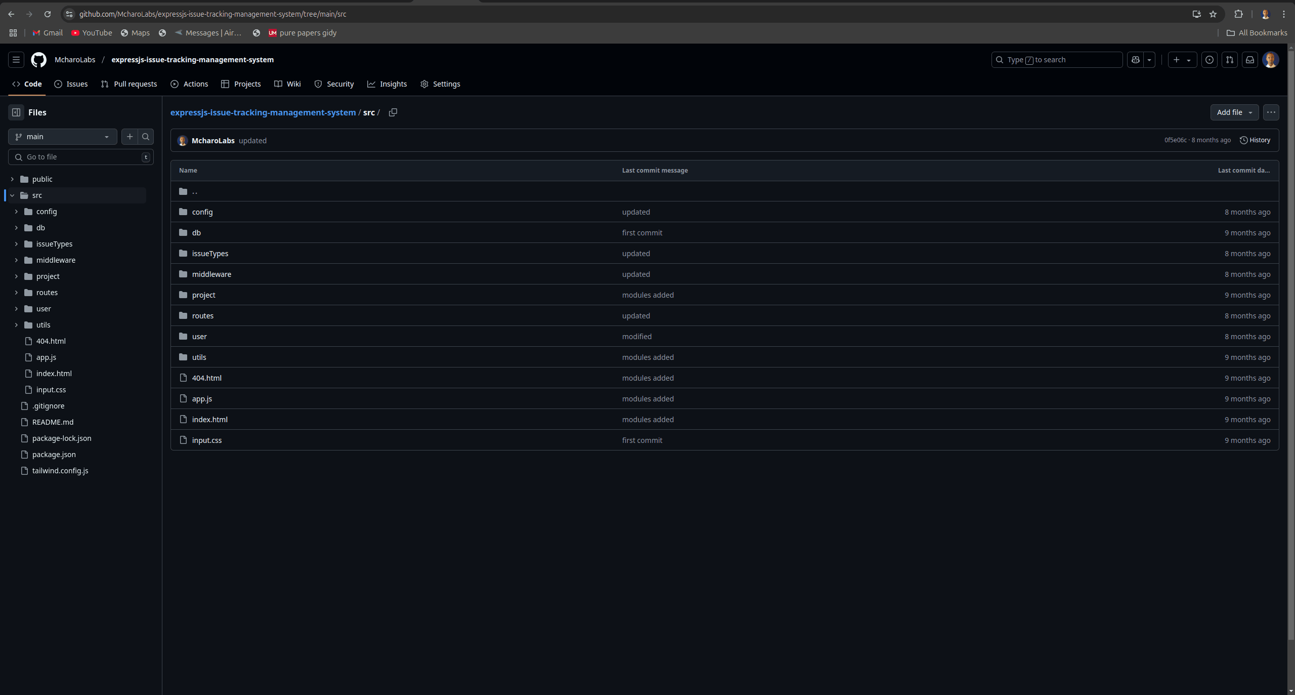 Issue Tracking Management System (ExpressJS)